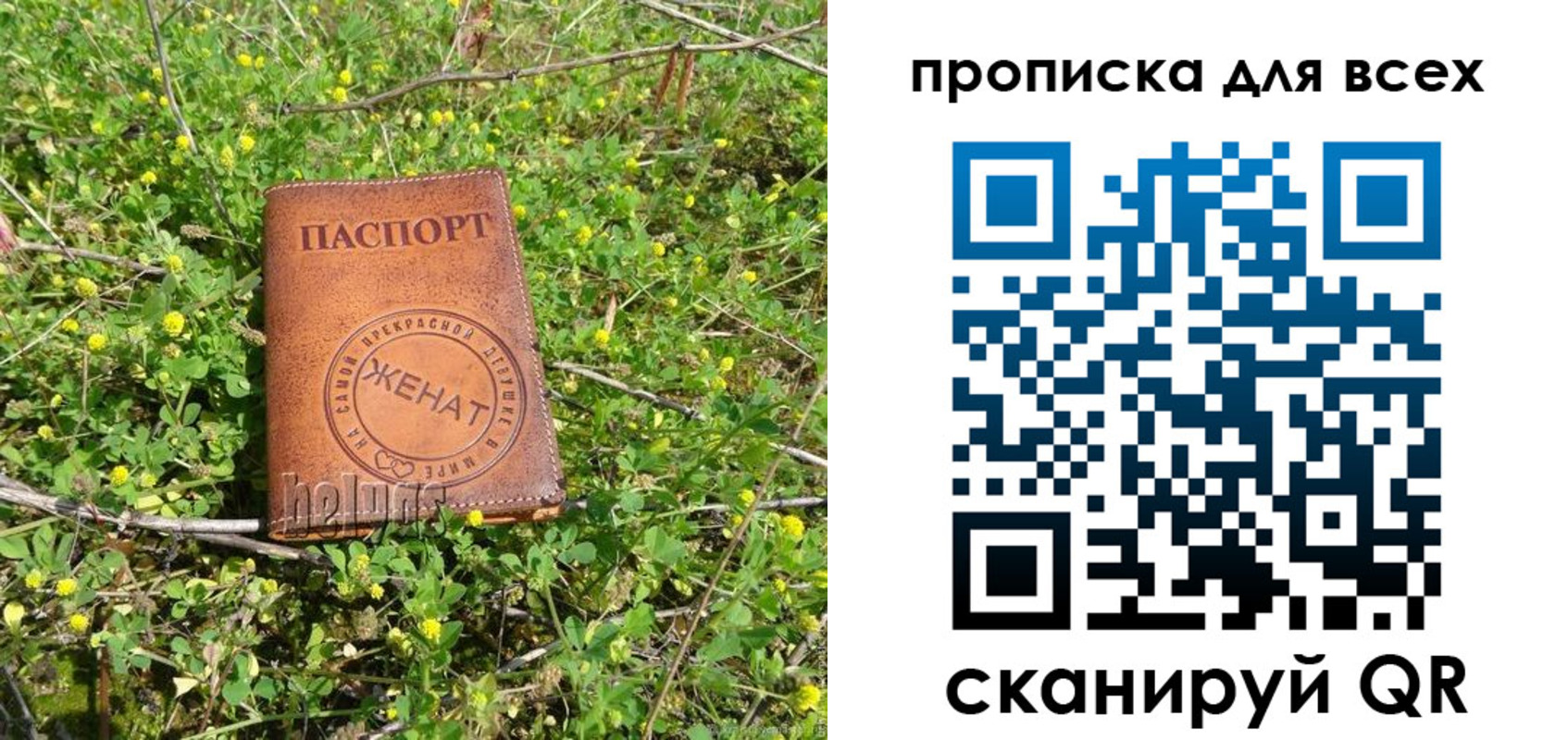 прописка поиск в Брянской области
